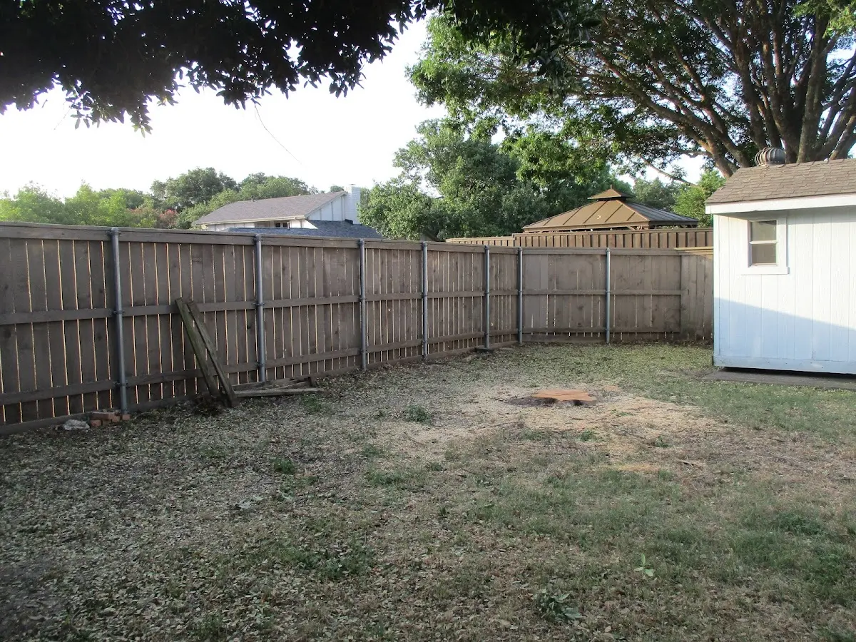 Cleared yard after professional tree removal in Ohlman